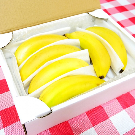 千葉県 横田ファーム バナナ 1kg（栽培期間中農薬不使用） | すこやか